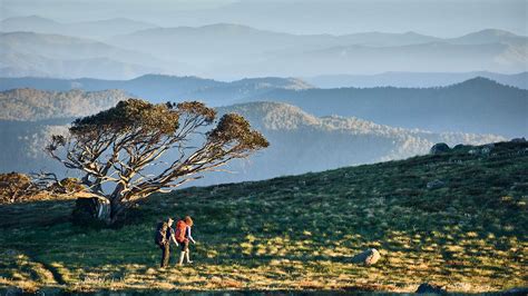 mt stirling melbourne